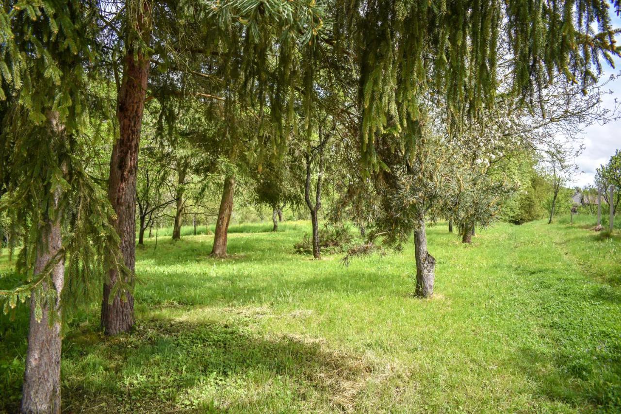 Korkostolo Vendeghazak Appartement Aggtelek Buitenkant foto