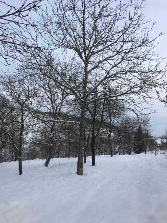 Korkostolo Vendeghazak Appartement Aggtelek Buitenkant foto